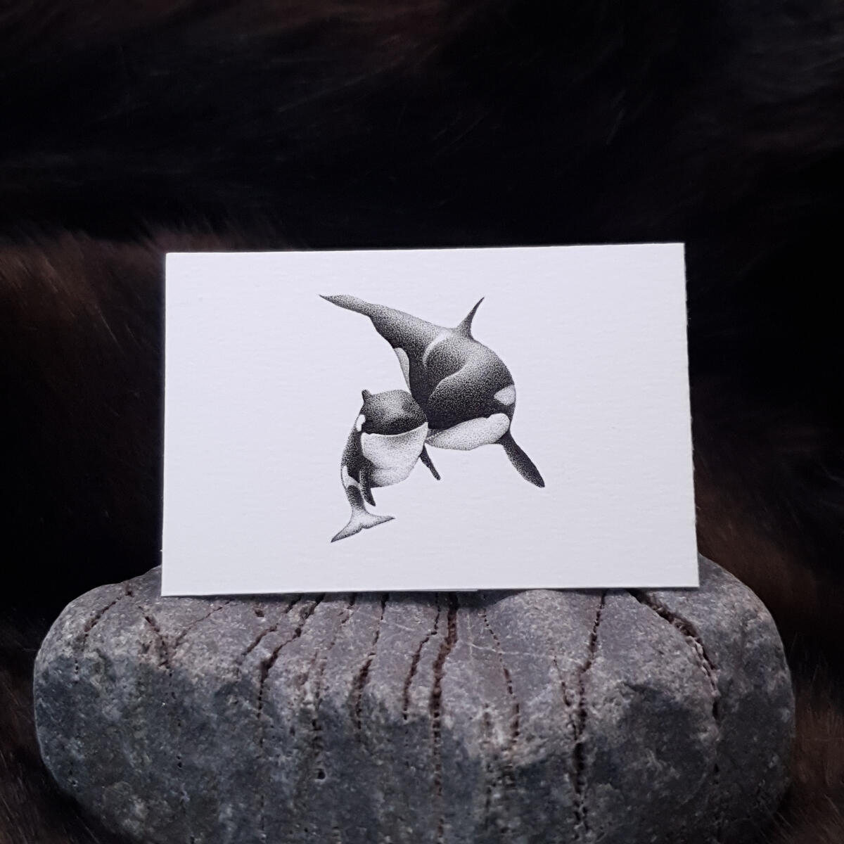 Miniature drawing 1 inch pointillism orca killer whale
