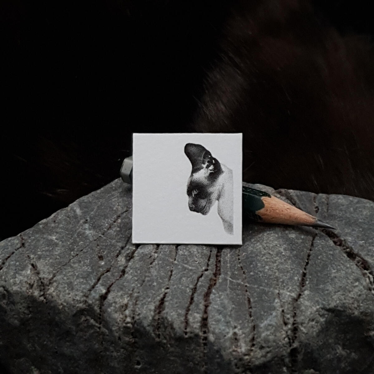 Miniature drawing 1 inch pointillism siamese cat